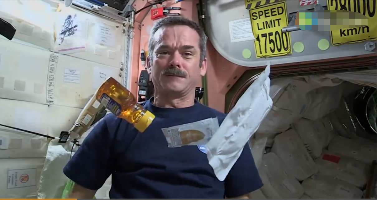 Chris hadfield in the space