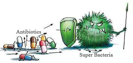 Super Bacteria and Antibiotics 