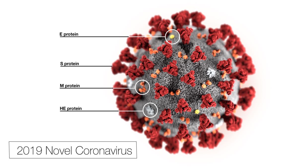 COVID-19 coronavirus