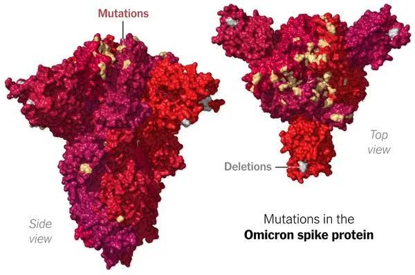 Omicron coronavirus