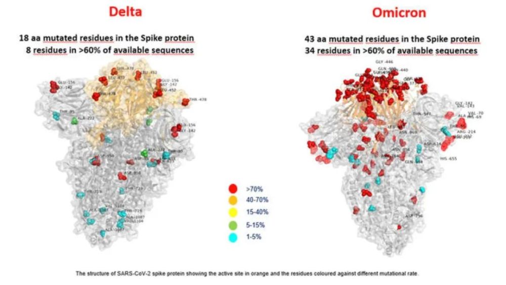 Delta and Omicron coronavirus