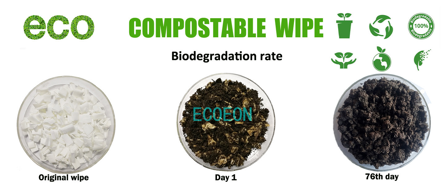 compostable flushable wet wipes 