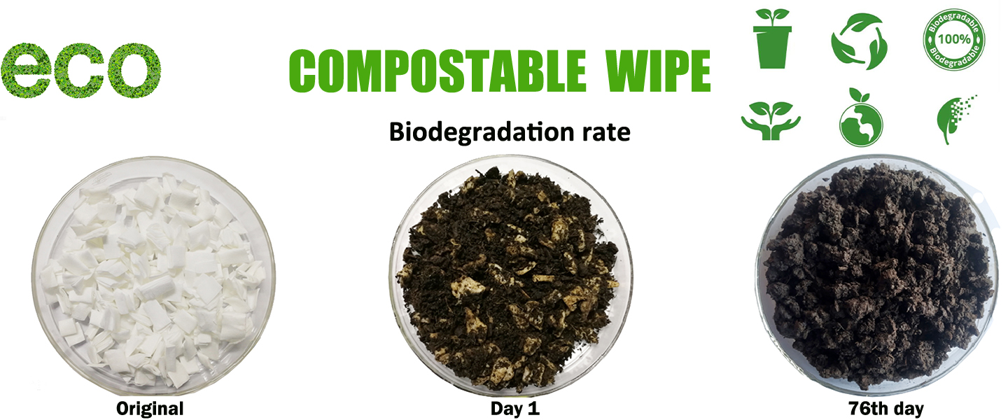 Biodegradable flushable wet wipes