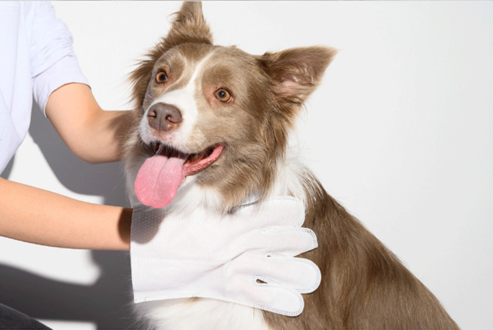 Pet SPA wet glove for dog shower