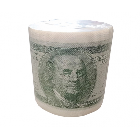 USD Dollar Creative toilet paper