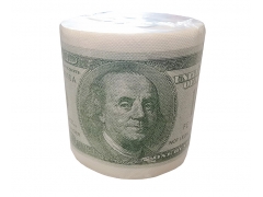 USD Dollar Creative toilet paper