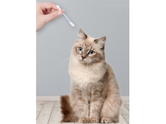 Pet liquid swab